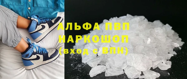 сатива Зеленокумск