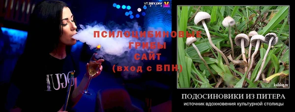 крисы Елизово