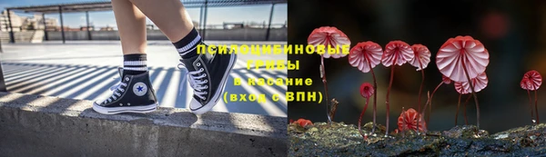 эйфоретик Заводоуковск