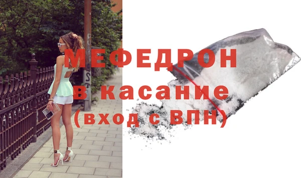 амф Ельня